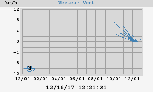 Wind Vector